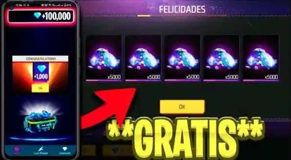 Macitruco